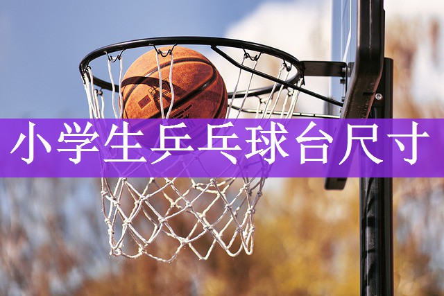 小学生乒乓球台尺寸